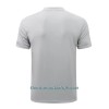 Polo De Entrenamiento Manchester City 2022-23 Gris Claro - Hombre